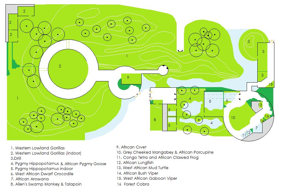 West African Rainforest