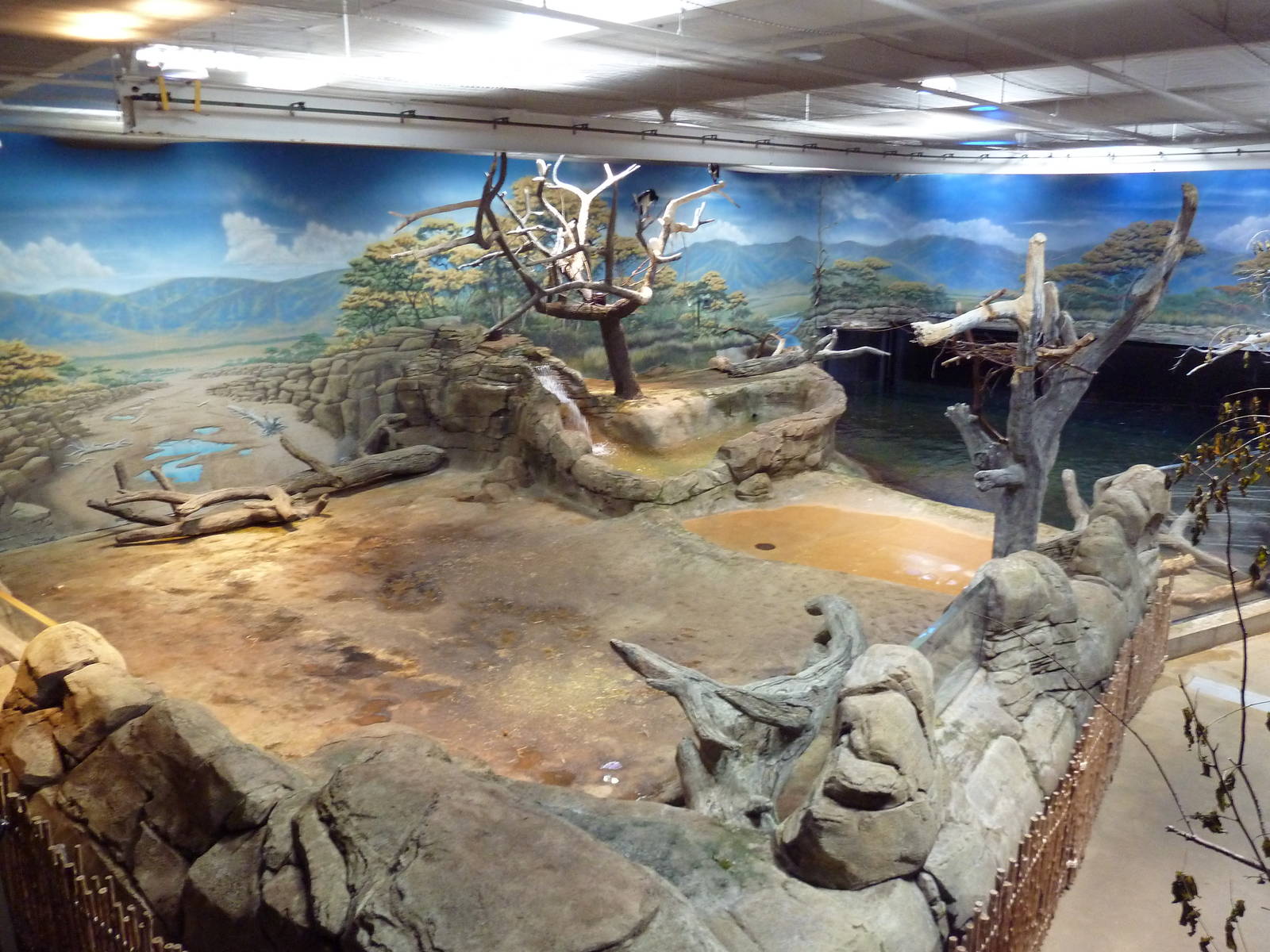 West African River Experience (Nile Hippos)