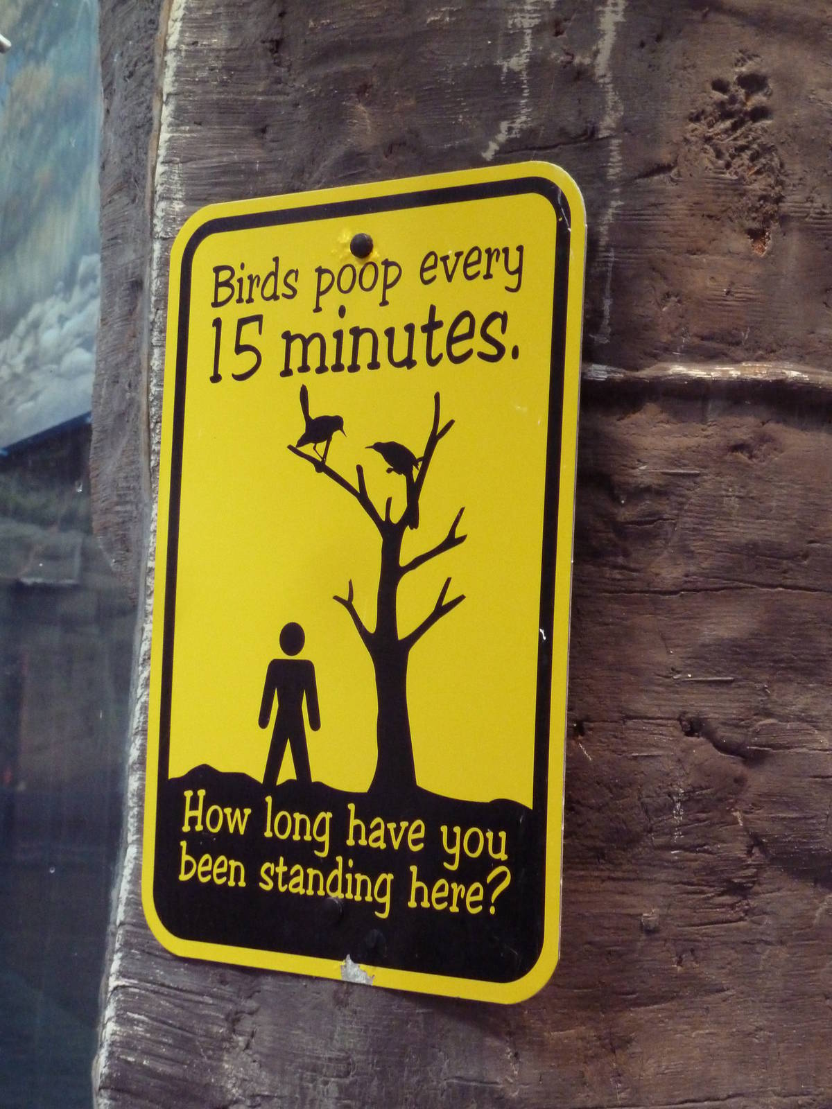 West African River Experience (Nile Hippos)