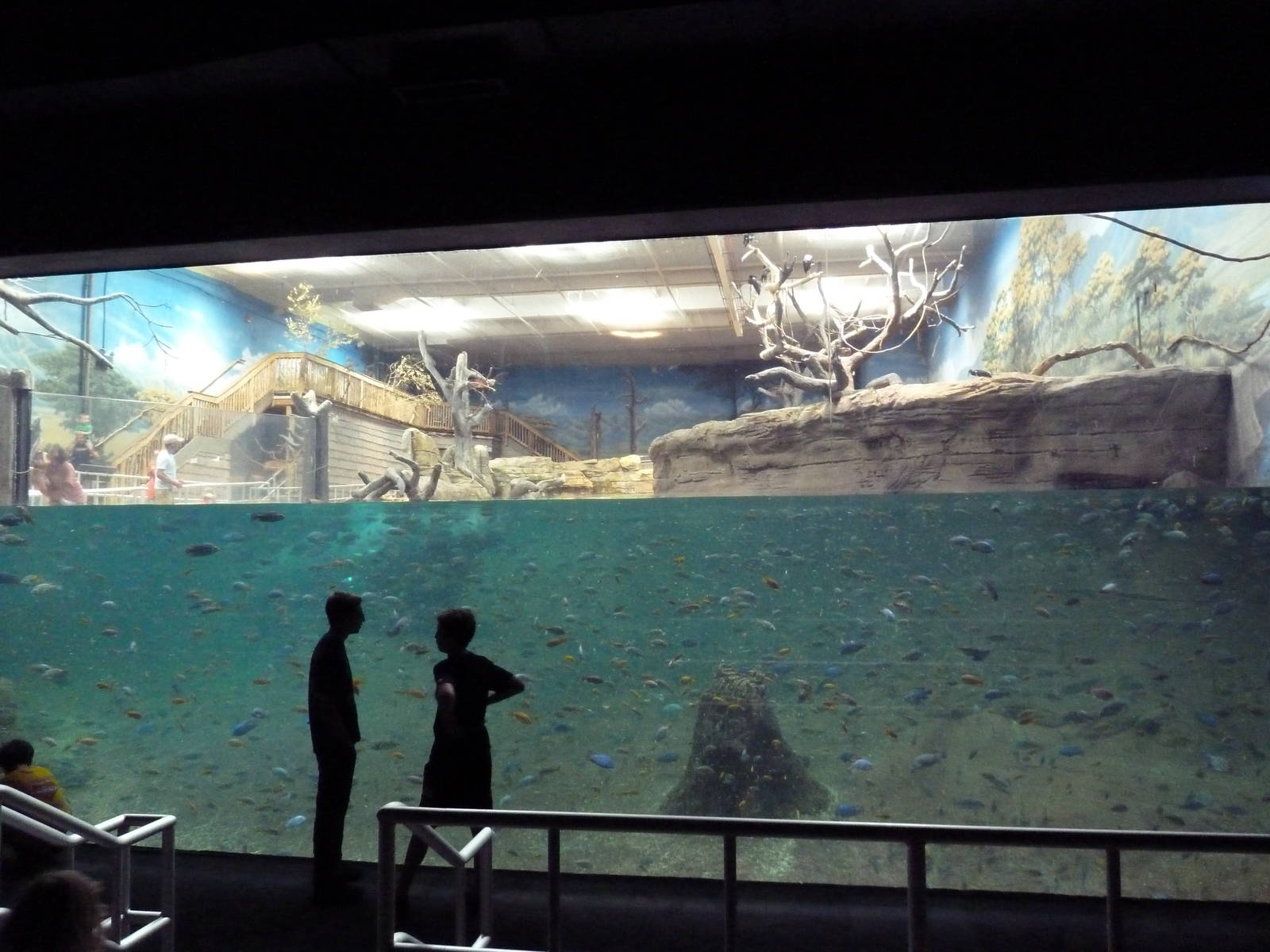 West African River Experience (Nile Hippos)