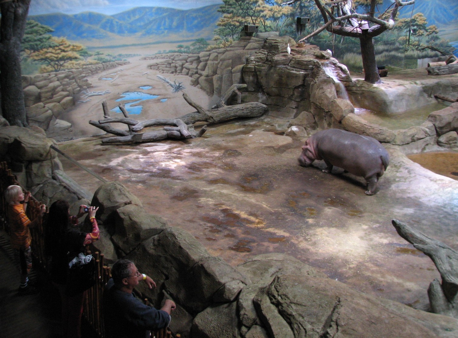 West African River Experience