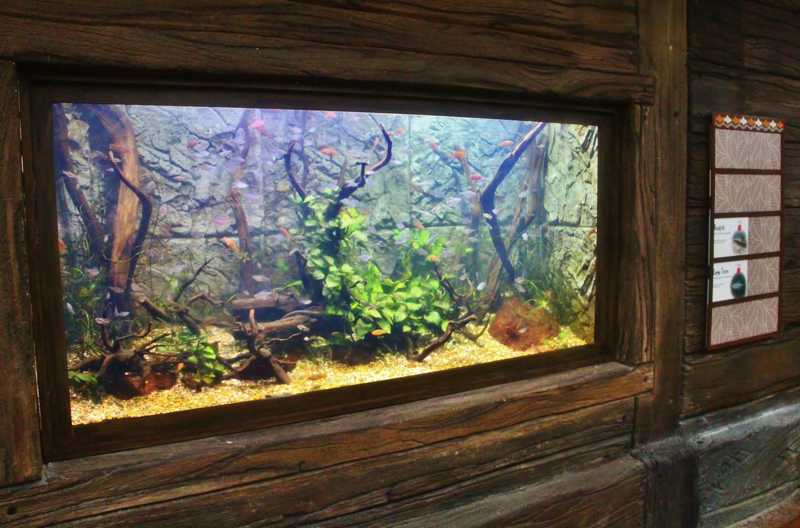 West African-themed exhibit