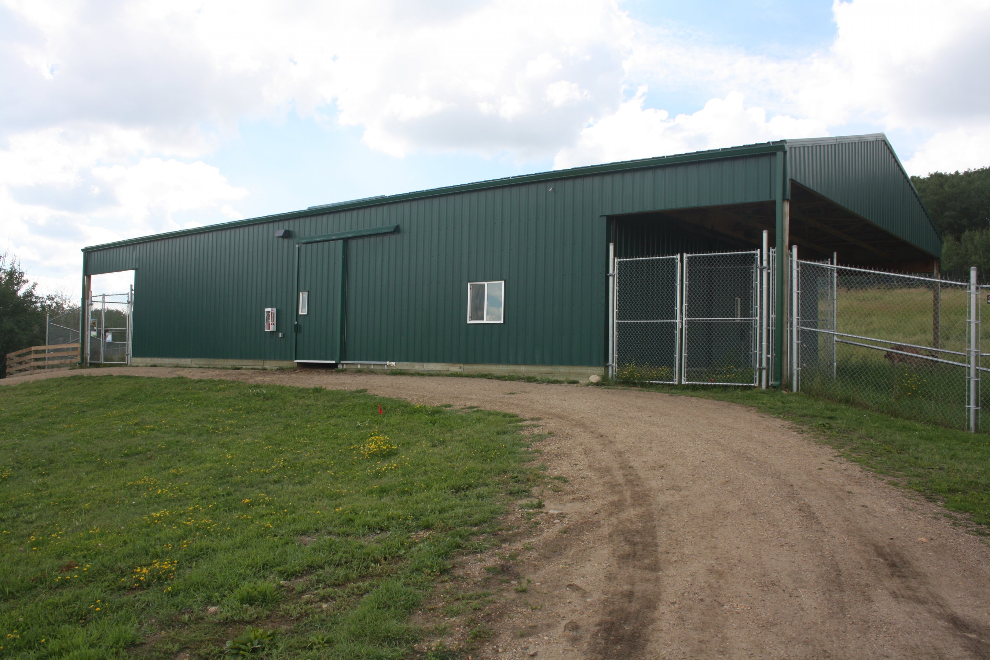 West Caucasian Tur/Bactrian Camel Barn