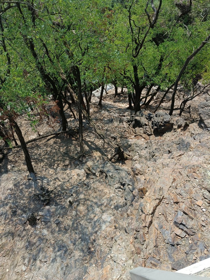 West Caucasian Tur enclosure from above - Rock Outcrop