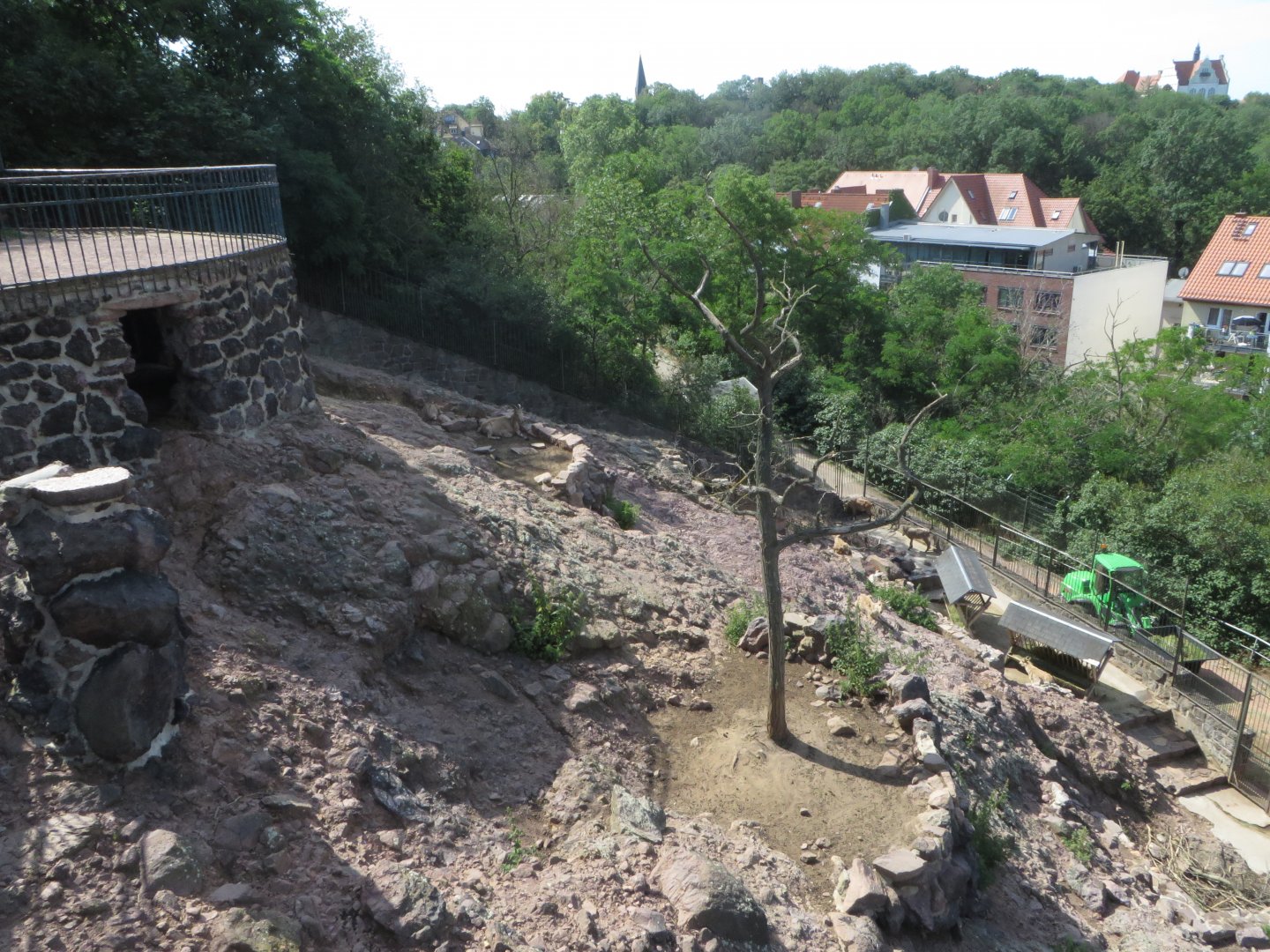 West Caucasian tur enclosure