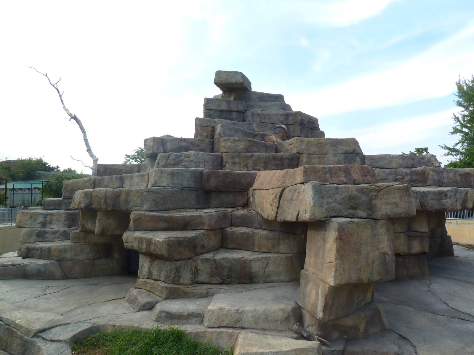 West Caucasian Tur Exhibit