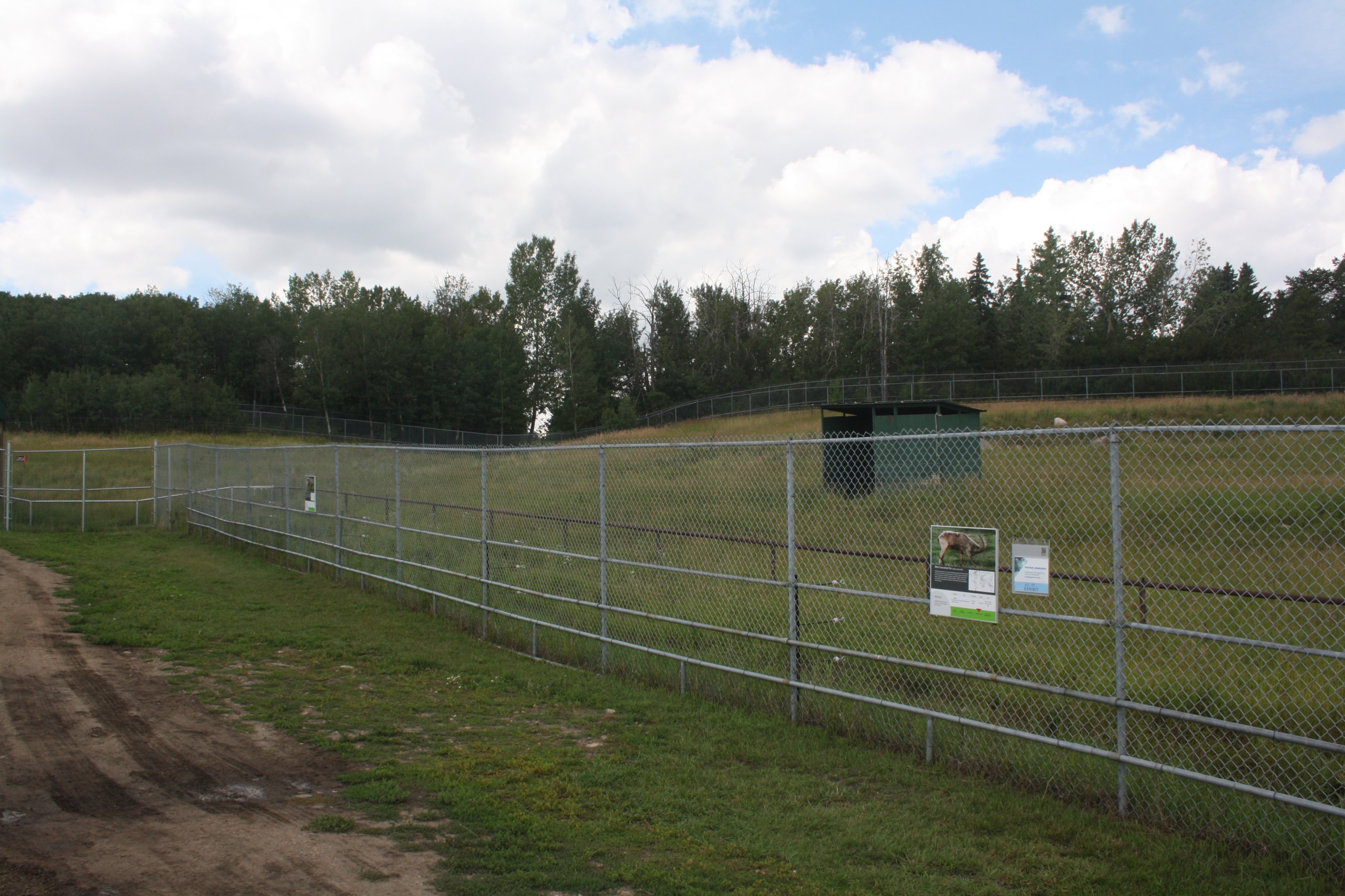 West Caucasian Tur Exhibit
