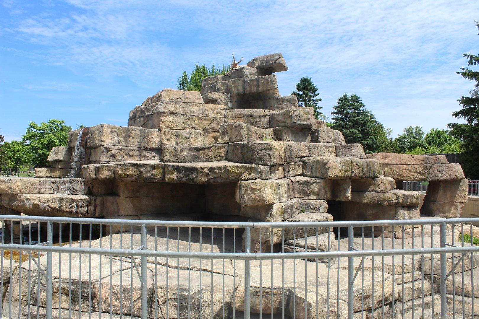 West Caucasian Tur Exhibit