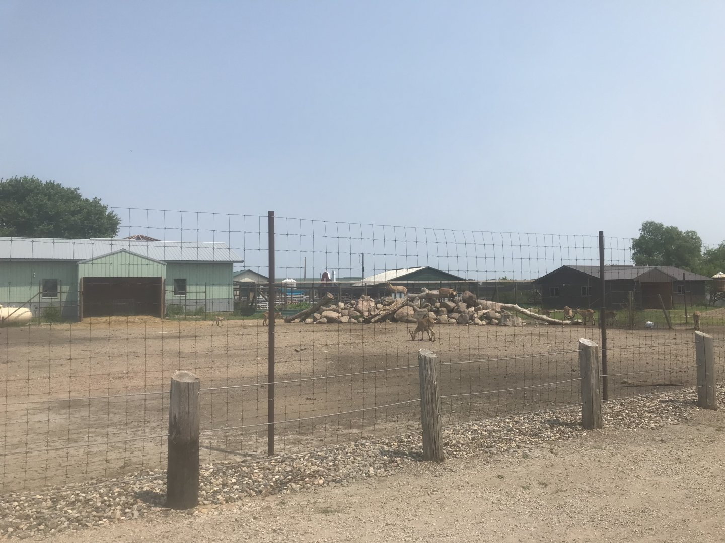 West Caucasian Tur Exhibit