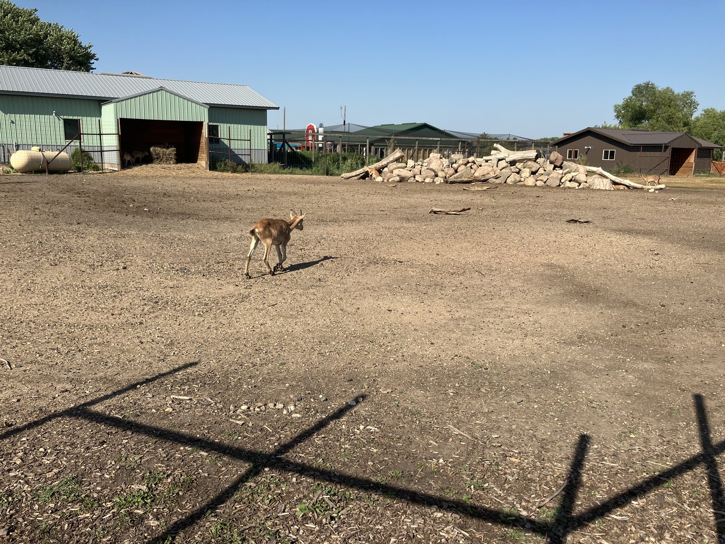 West Caucasian Tur Exhibit