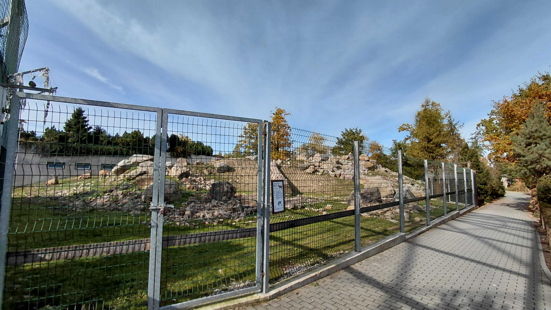 West Caucasian tur exhibit