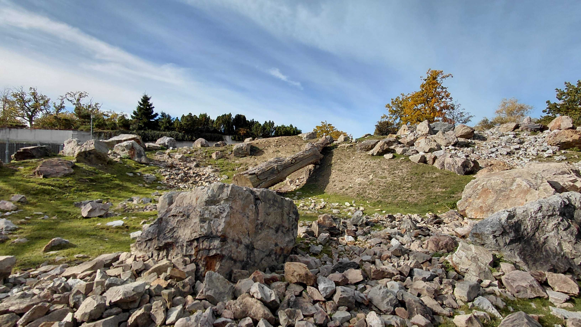 West Caucasian tur exhibit