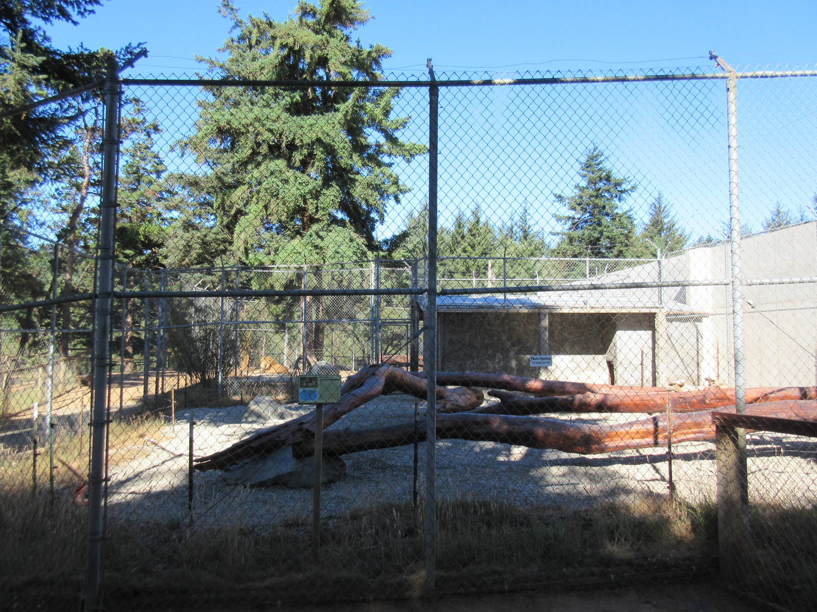 West Coast Game Park Safari (Oregon) - African Lion Exhibit #2