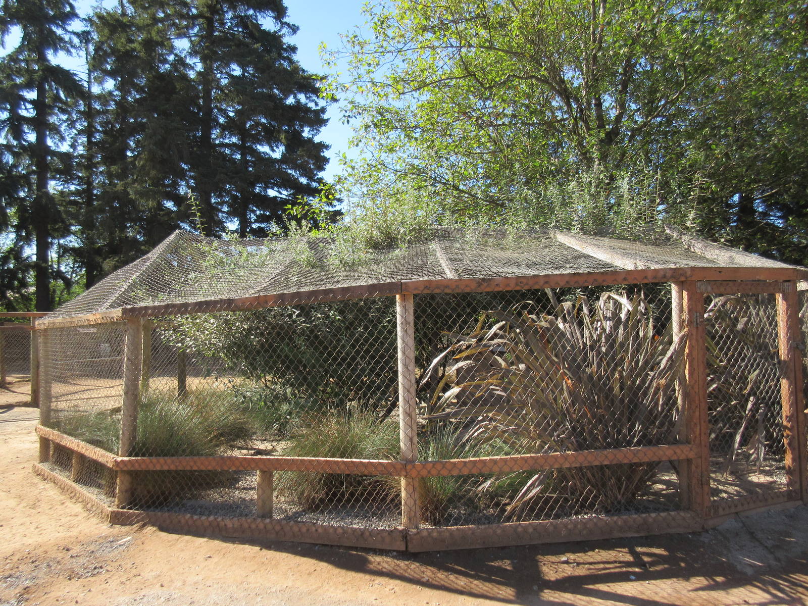 West Coast Game Park Safari (Oregon) - African Spurred Tortoise Exhibit