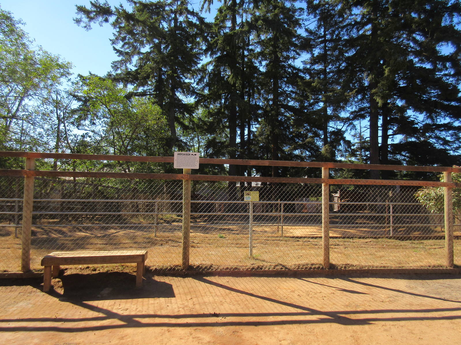 West Coast Game Park Safari (Oregon) - American Bison Exhibit
