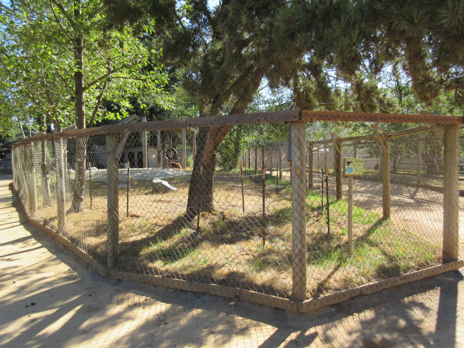 West Coast Game Park Safari (Oregon) - American Black Bear Exhibit