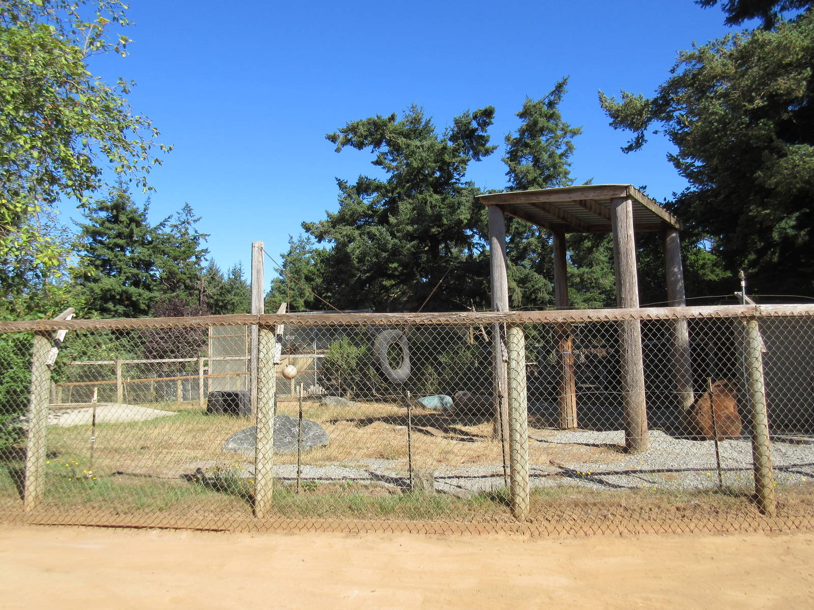 West Coast Game Park Safari (Oregon) - American Black Bear Exhibit