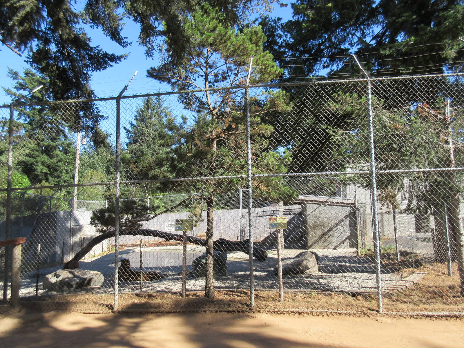 West Coast Game Park Safari (Oregon) - Bengal Tiger Exhibit