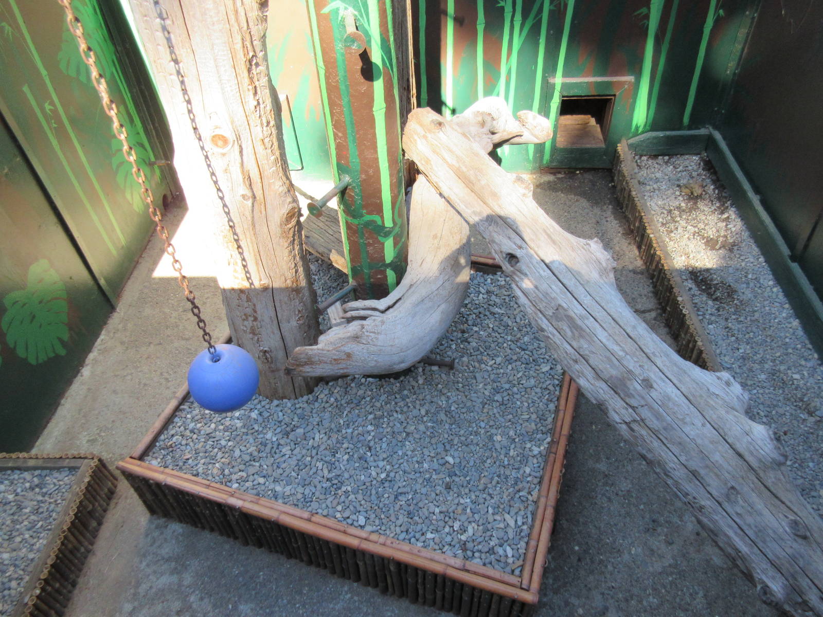 West Coast Game Park Safari (Oregon) - Binturong Exhibit (bottom area)