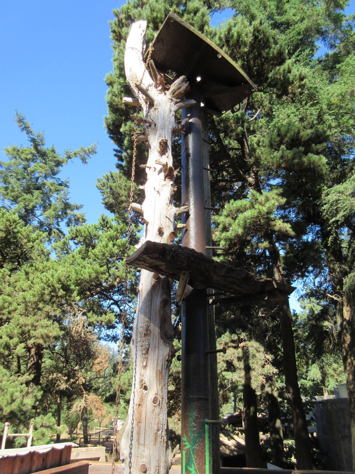 West Coast Game Park Safari (Oregon) - Binturong Exhibit