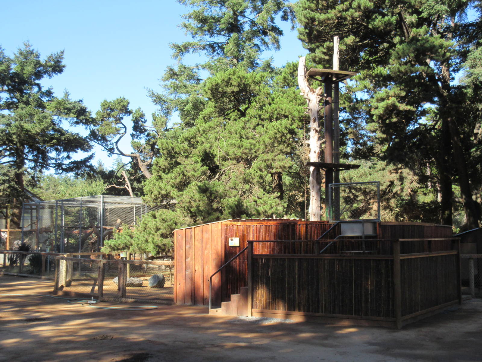 West Coast Game Park Safari (Oregon) - Binturong Exhibit