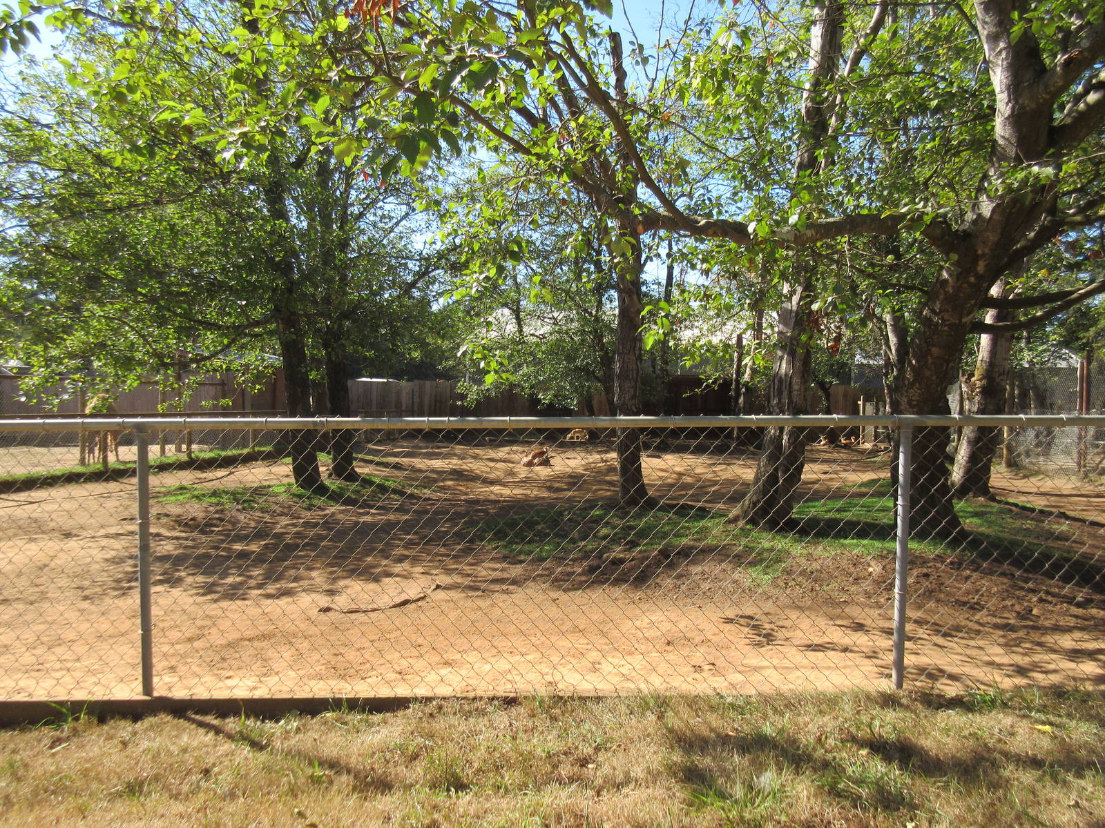 West Coast Game Park Safari (Oregon) - Blackbuck Exhibit