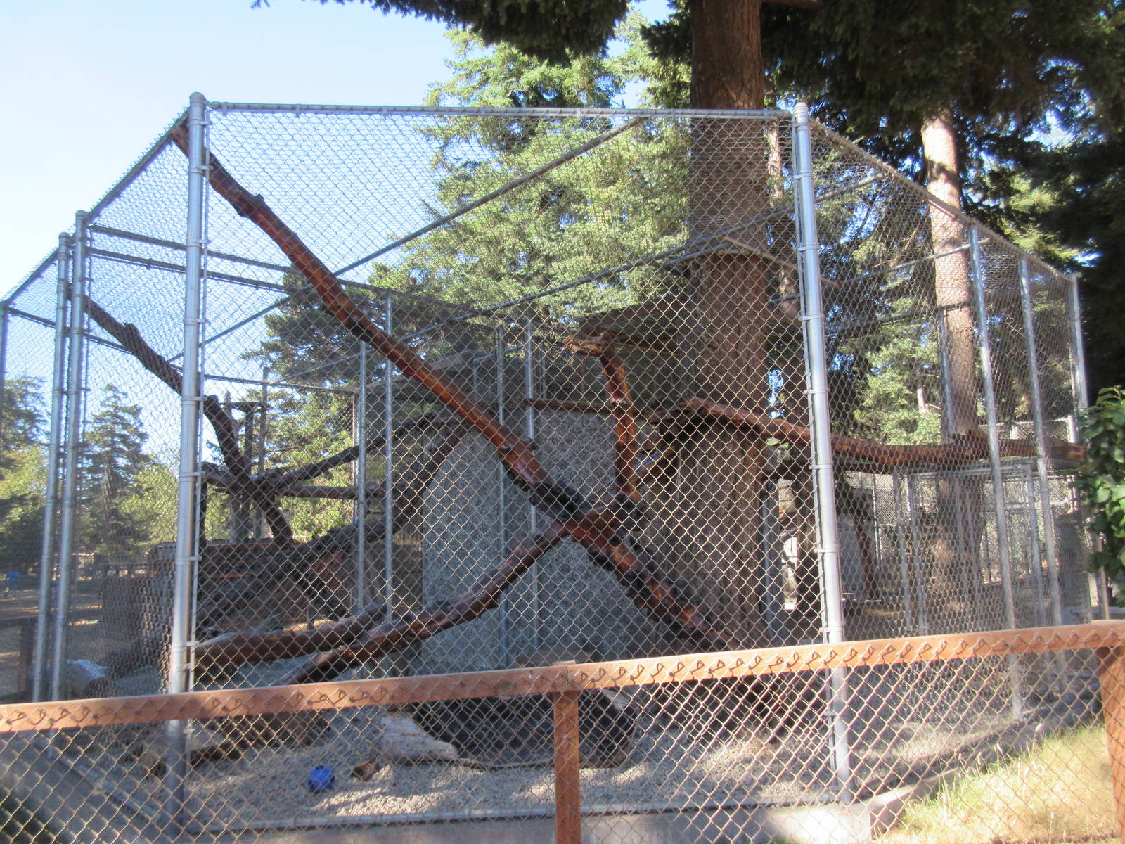 West Coast Game Park Safari (Oregon) - Bobcat Exhibit