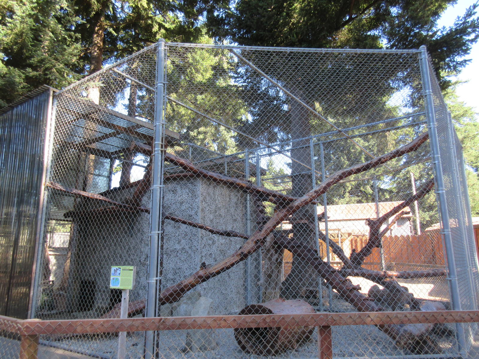 West Coast Game Park Safari (Oregon) - Canadian Lynx Exhibit
