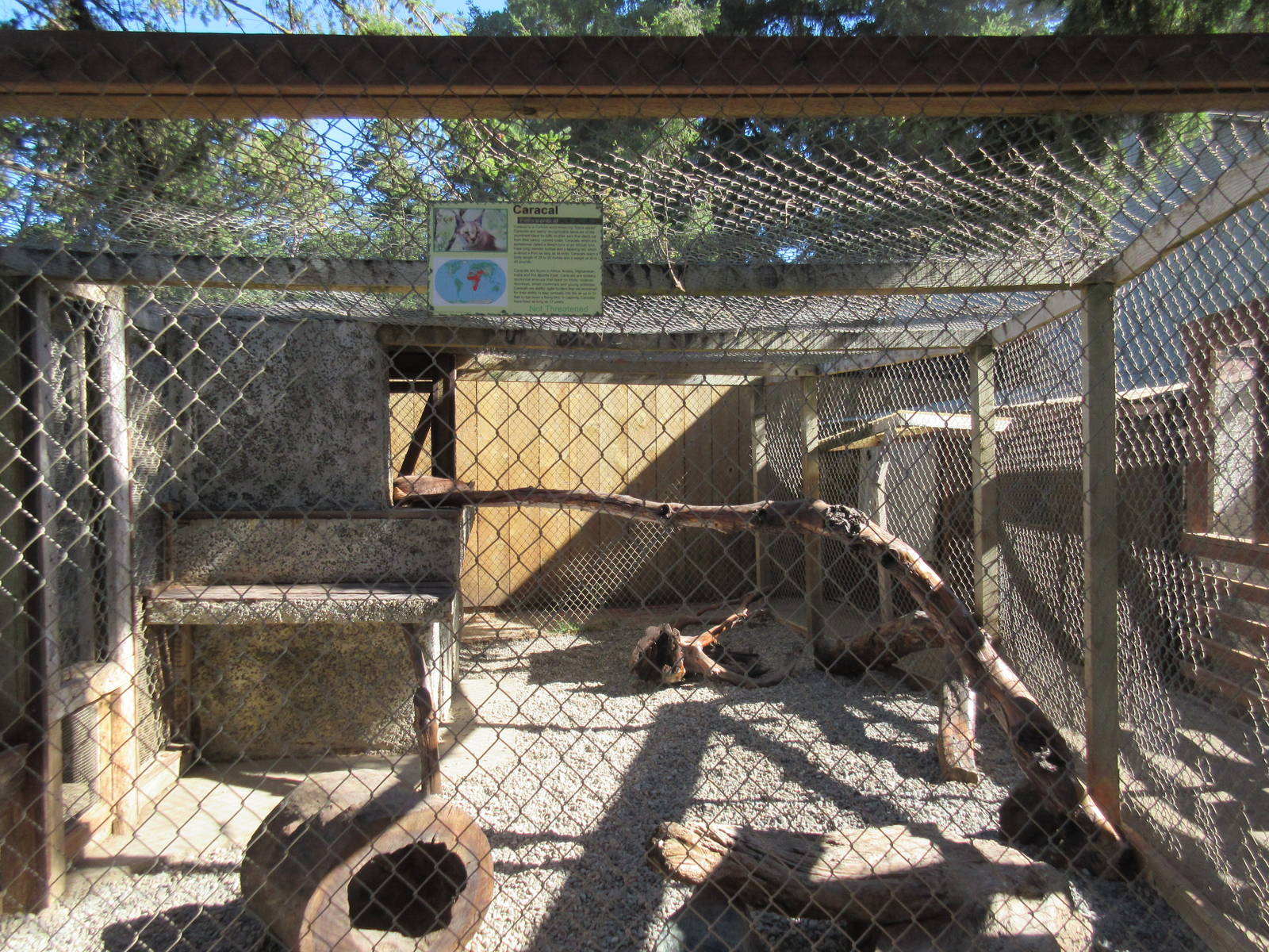 West Coast Game Park Safari (Oregon) - Caracal Exhibit