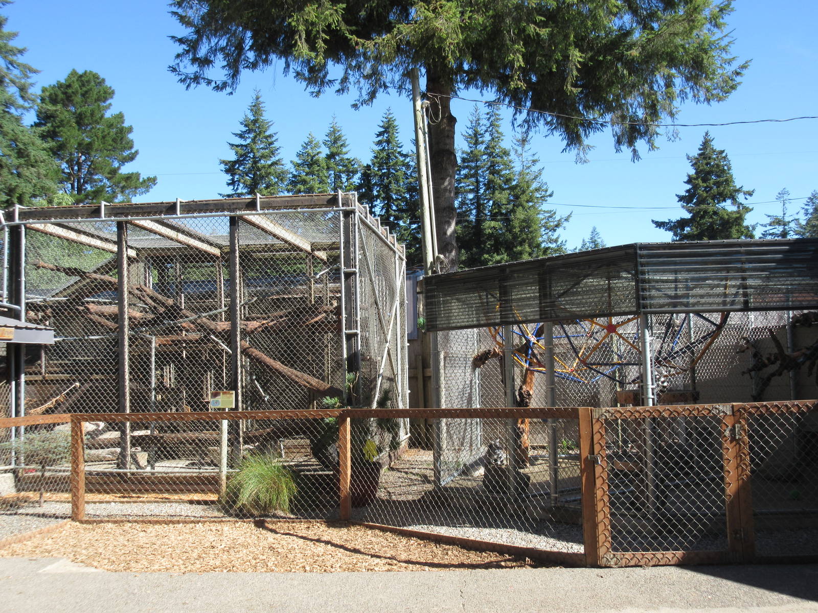 West Coast Game Park Safari (Oregon) - Chimpanzee + Ring-Tailed Lemur Exhib