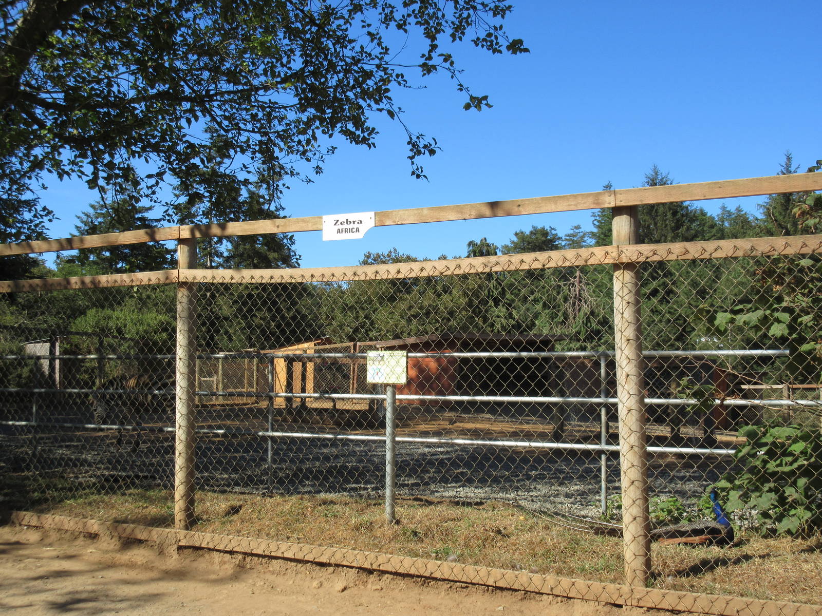 West Coast Game Park Safari (Oregon) - Grant's Zebra Exhibit