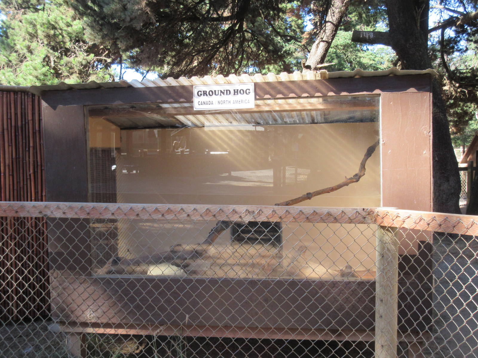 West Coast Game Park Safari (Oregon) - Groundhog Exhibit