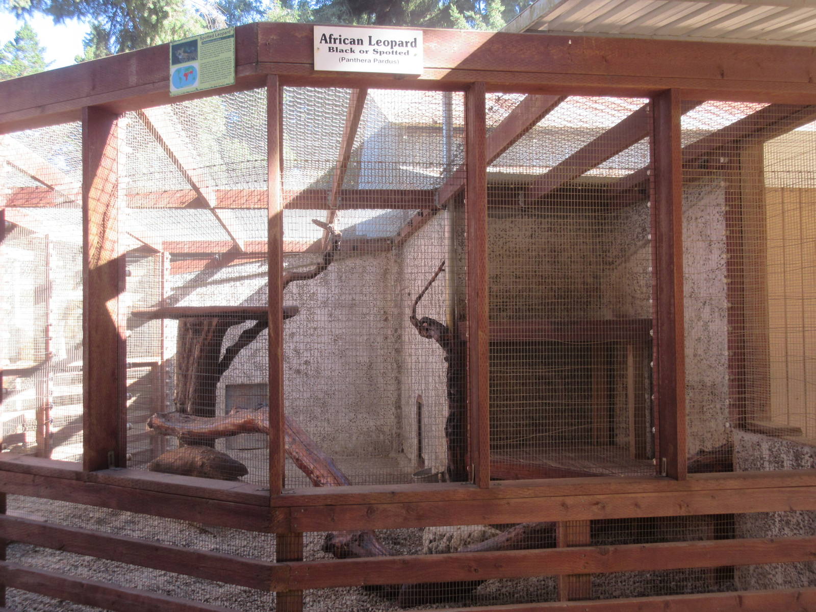West Coast Game Park Safari (Oregon) - Leopard Exhibit #1