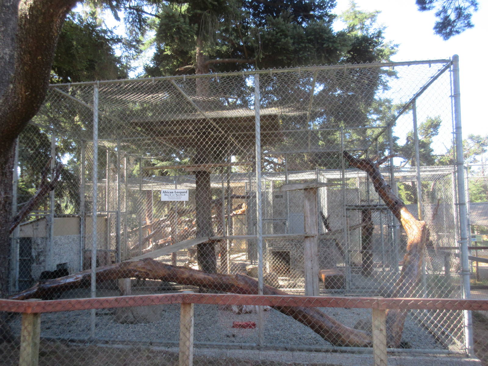 West Coast Game Park Safari (Oregon) - Leopard Exhibit #2