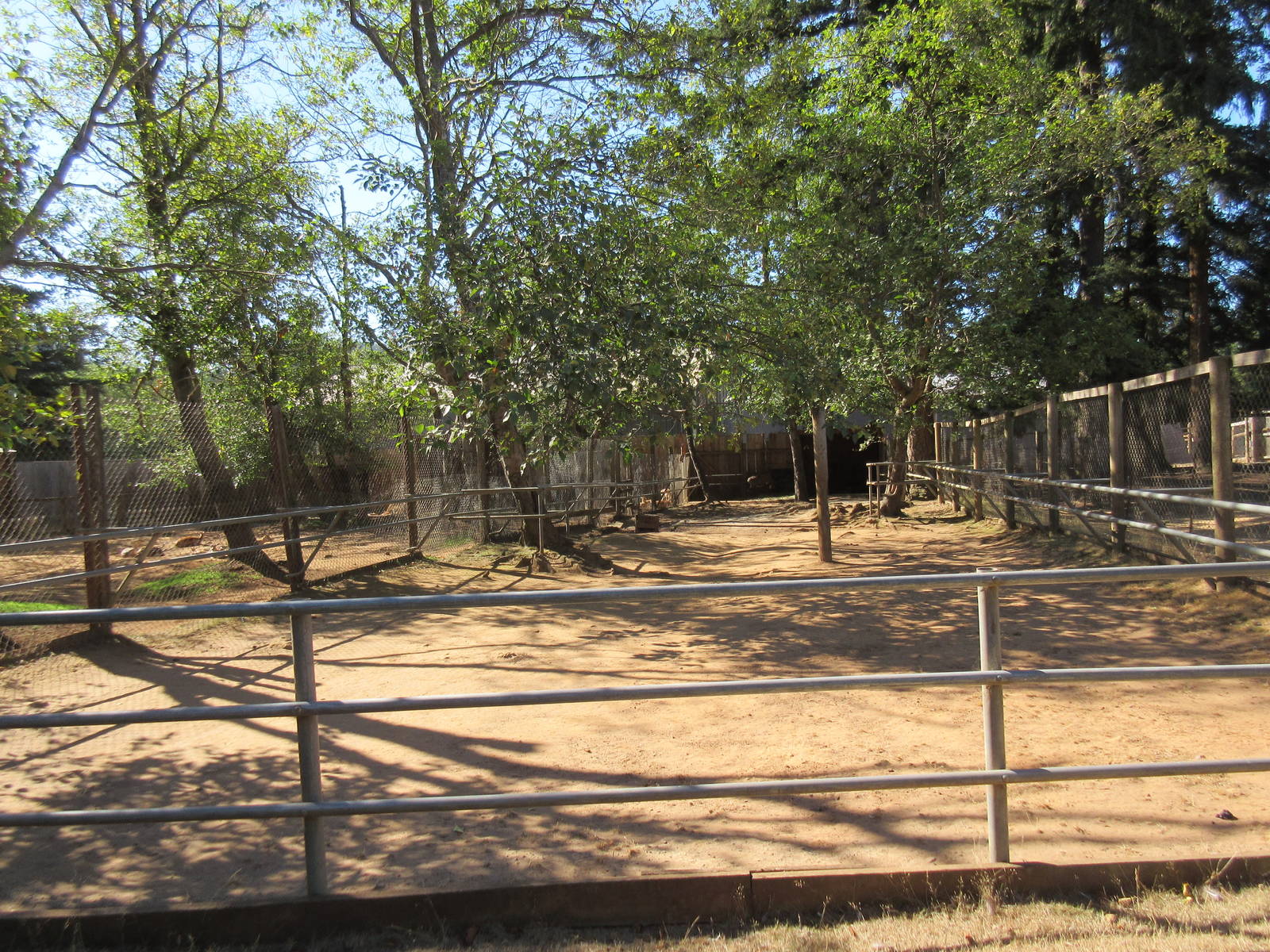 West Coast Game Park Safari (Oregon) - Reindeer Exhibit