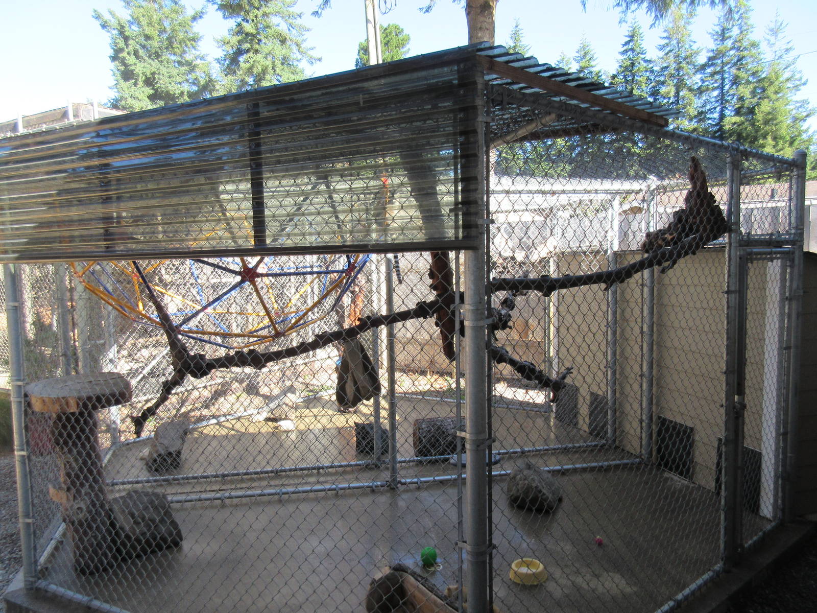 West Coast Game Park Safari (Oregon) - Ring-Tailed Lemur Exhibit