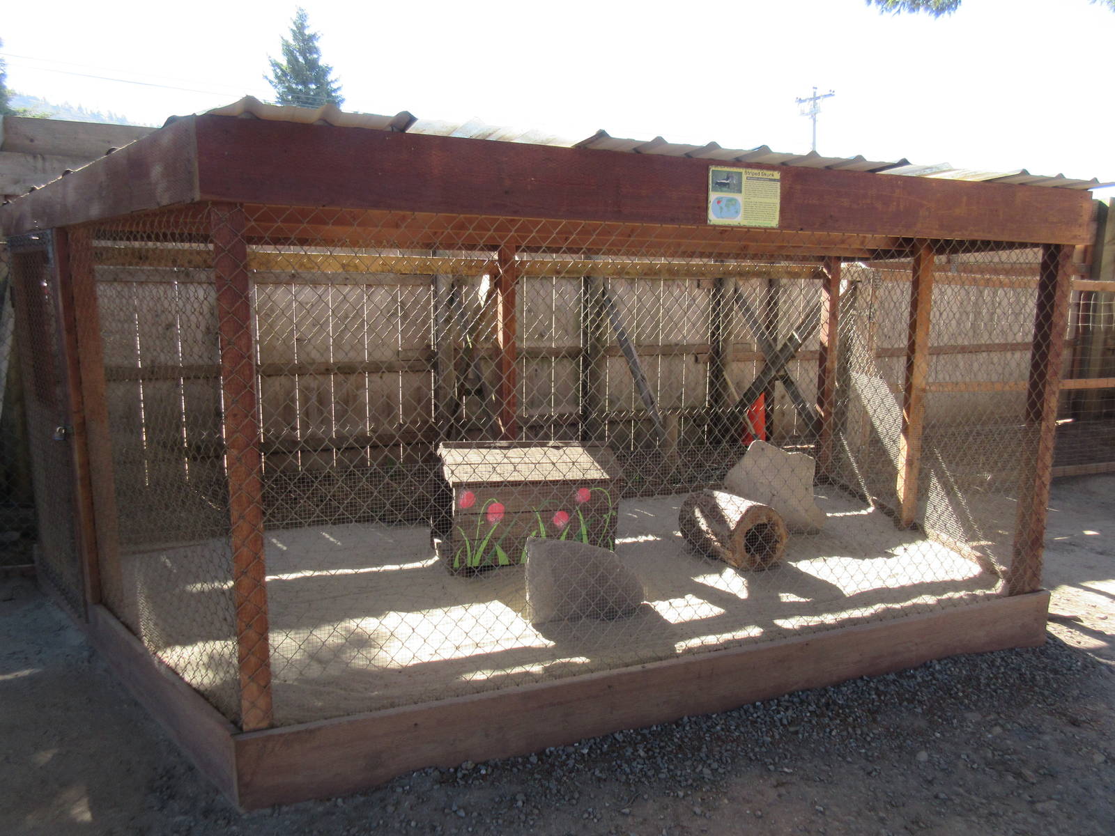 West Coast Game Park Safari (Oregon) - Striped Skunk Exhibit