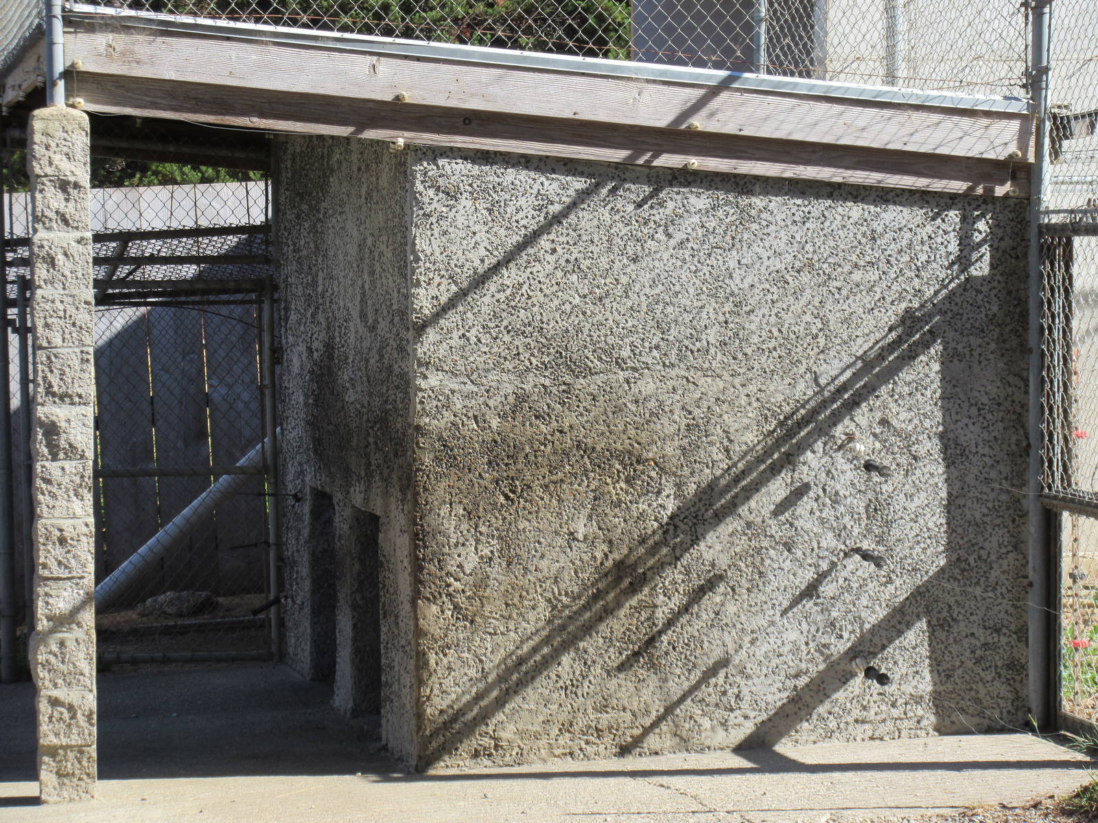 West Coast Game Park Safari (Oregon) - Tiger Den (a cement block)