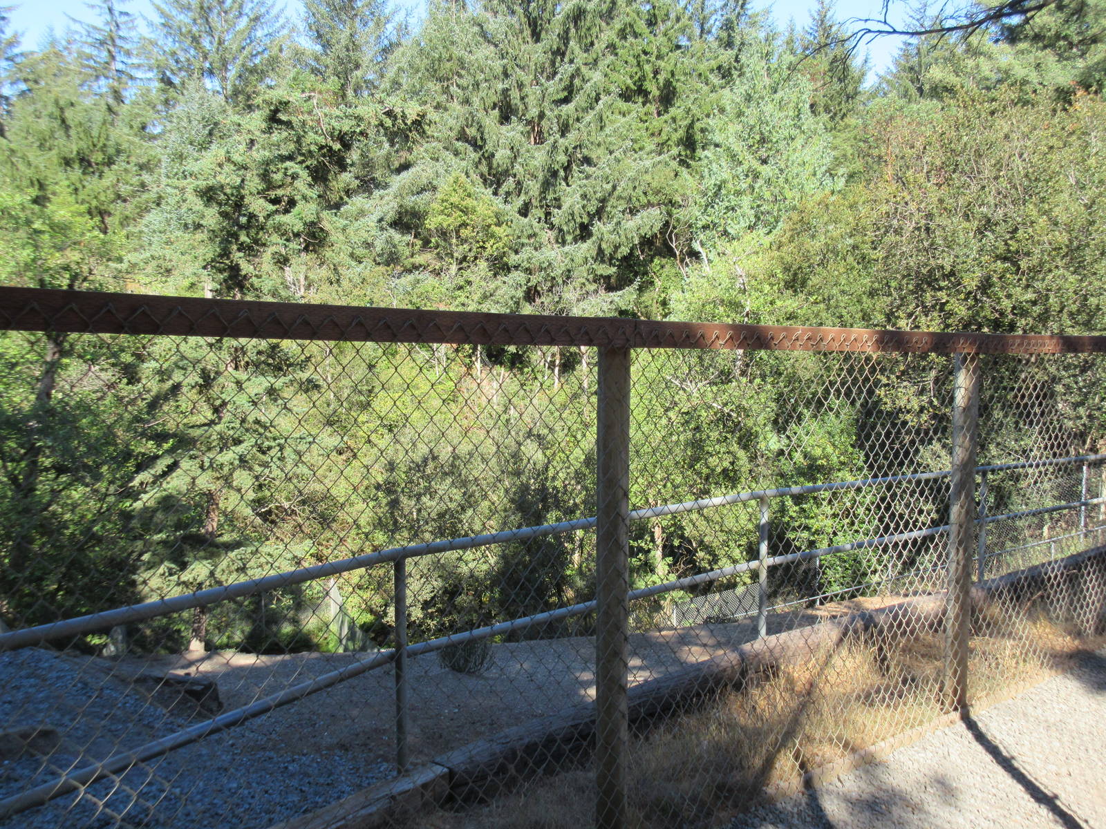 West Coast Game Park Safari (Oregon) - Waterbuck Exhibit