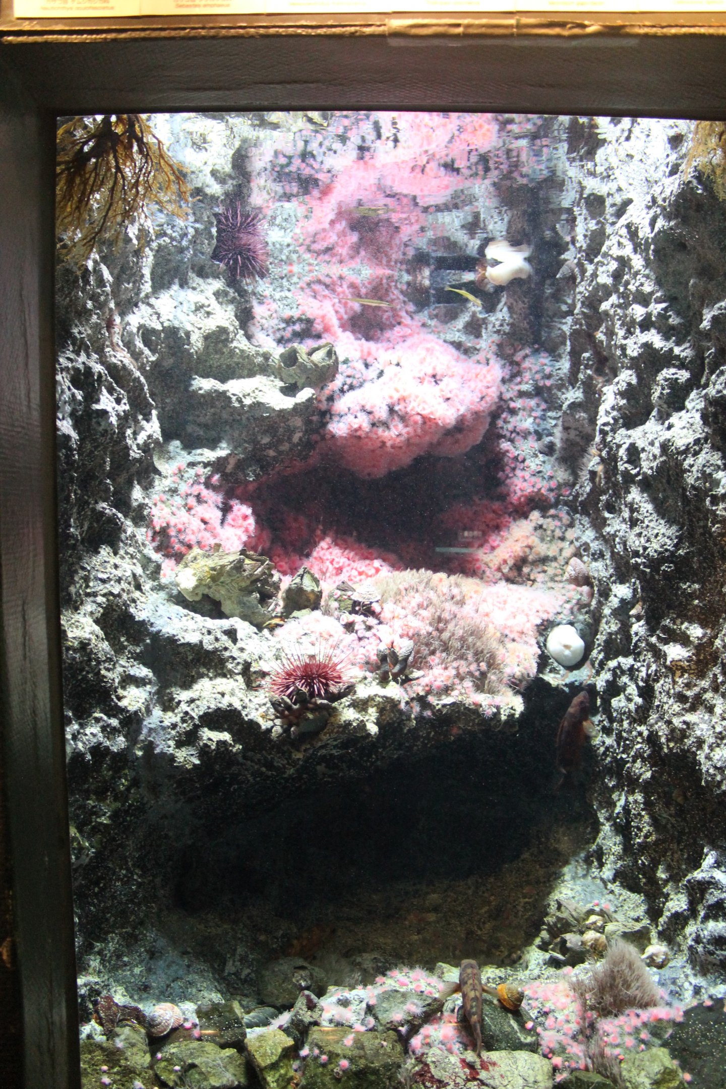 West Coast of Canada