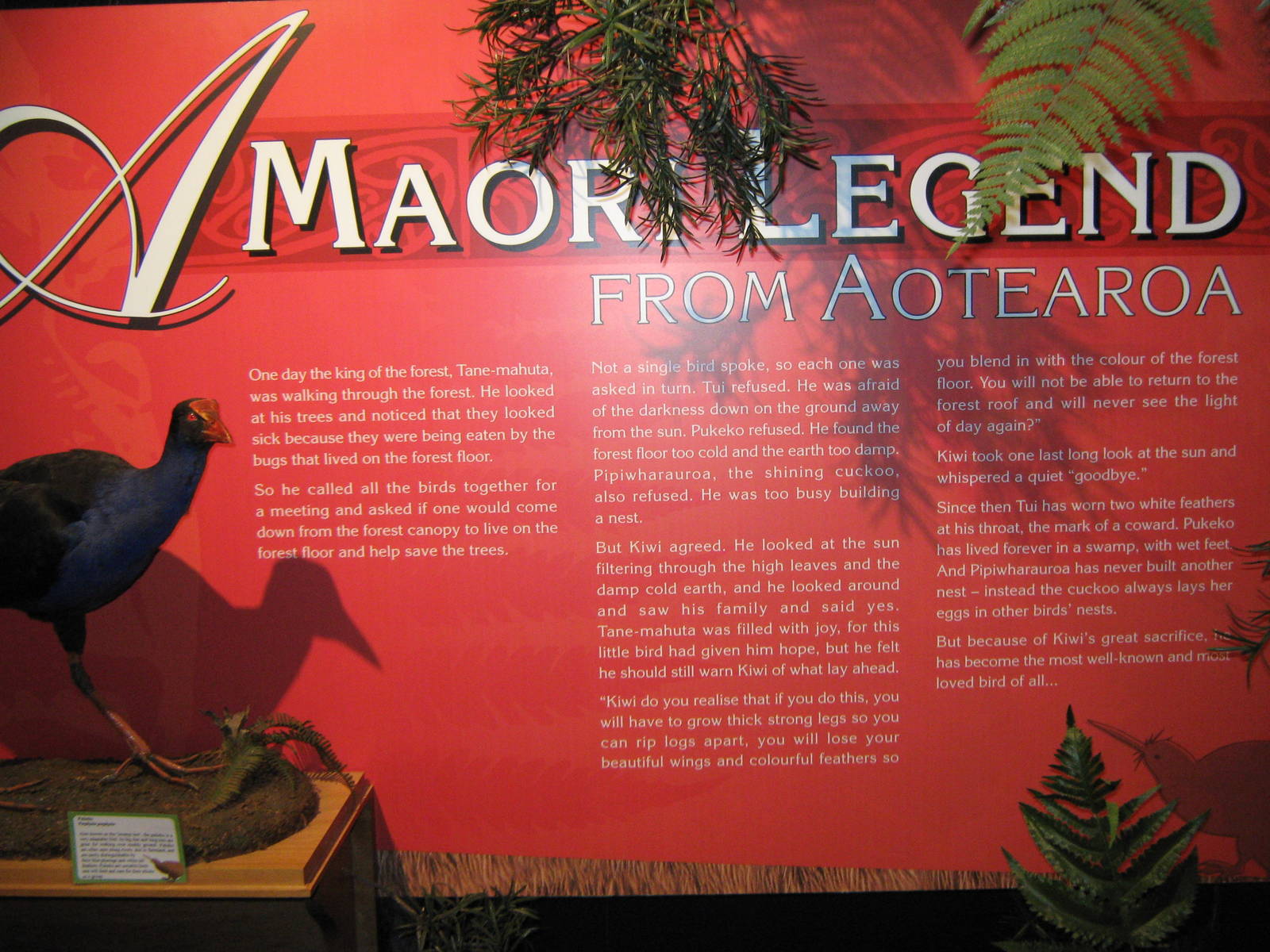 West Coast Wildlife Centre