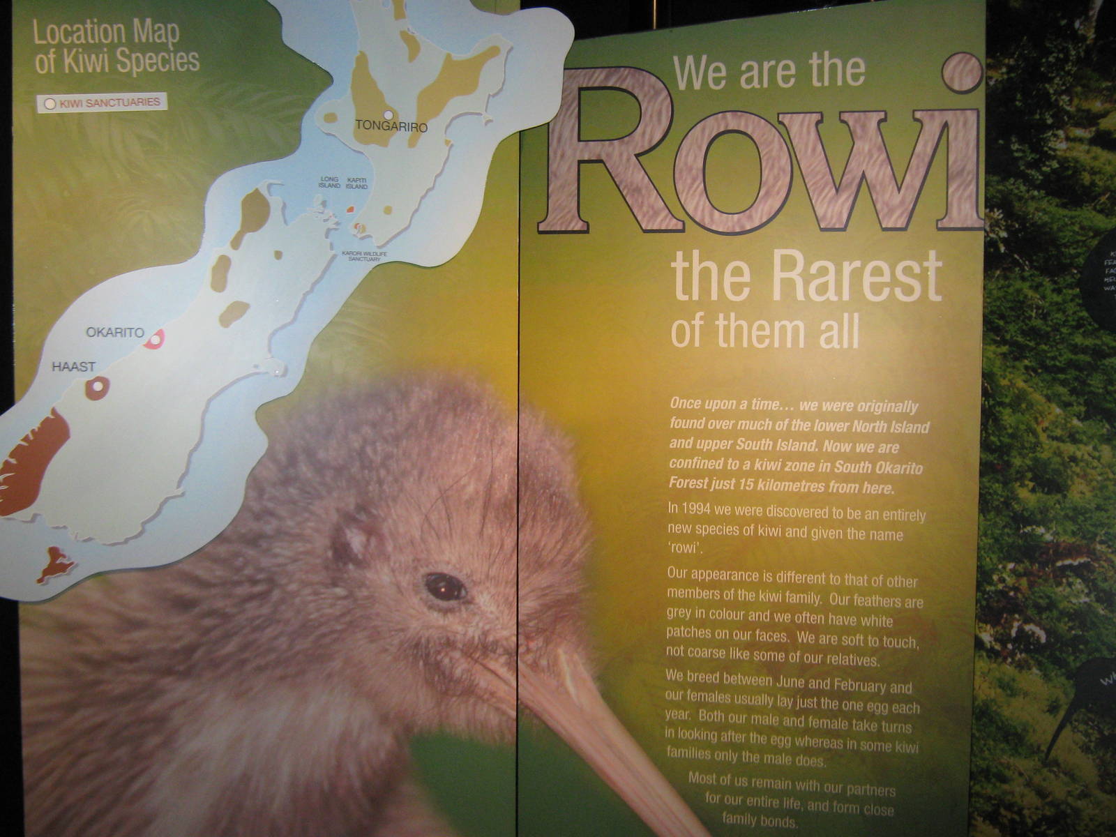 West Coast Wildlife Centre