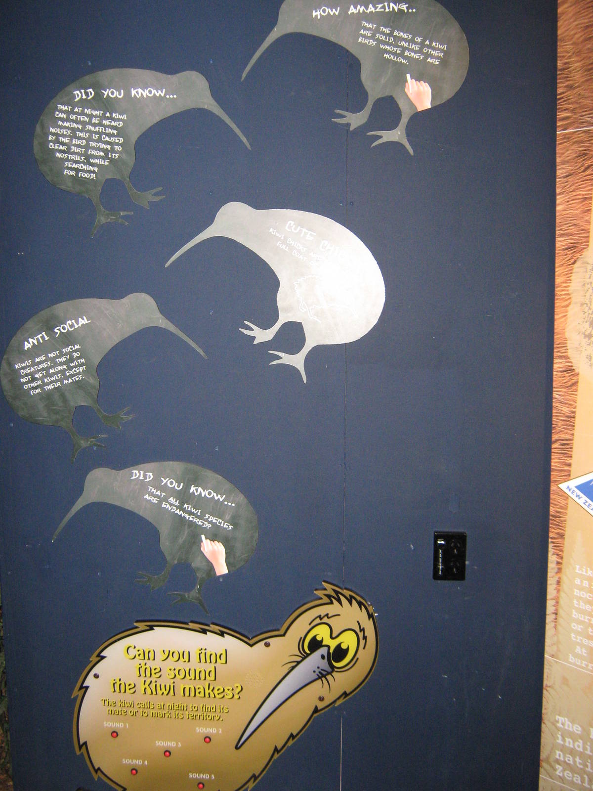 West Coast Wildlife Centre