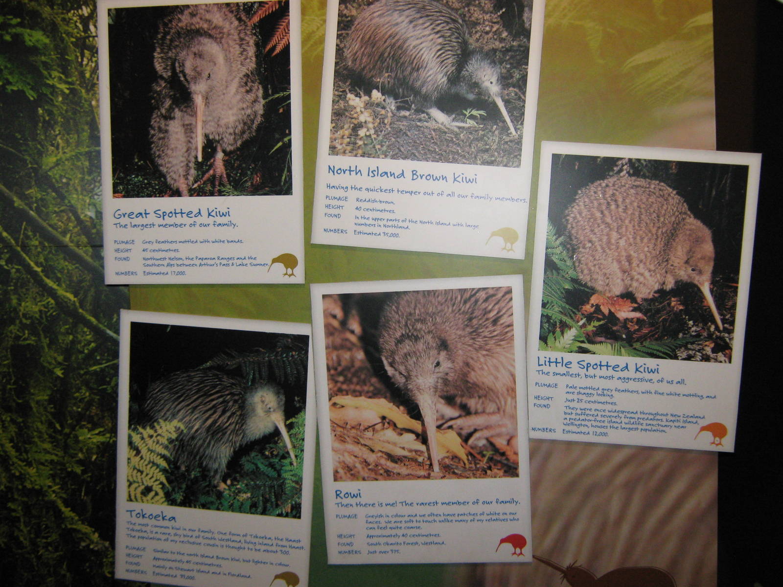 West Coast Wildlife Centre