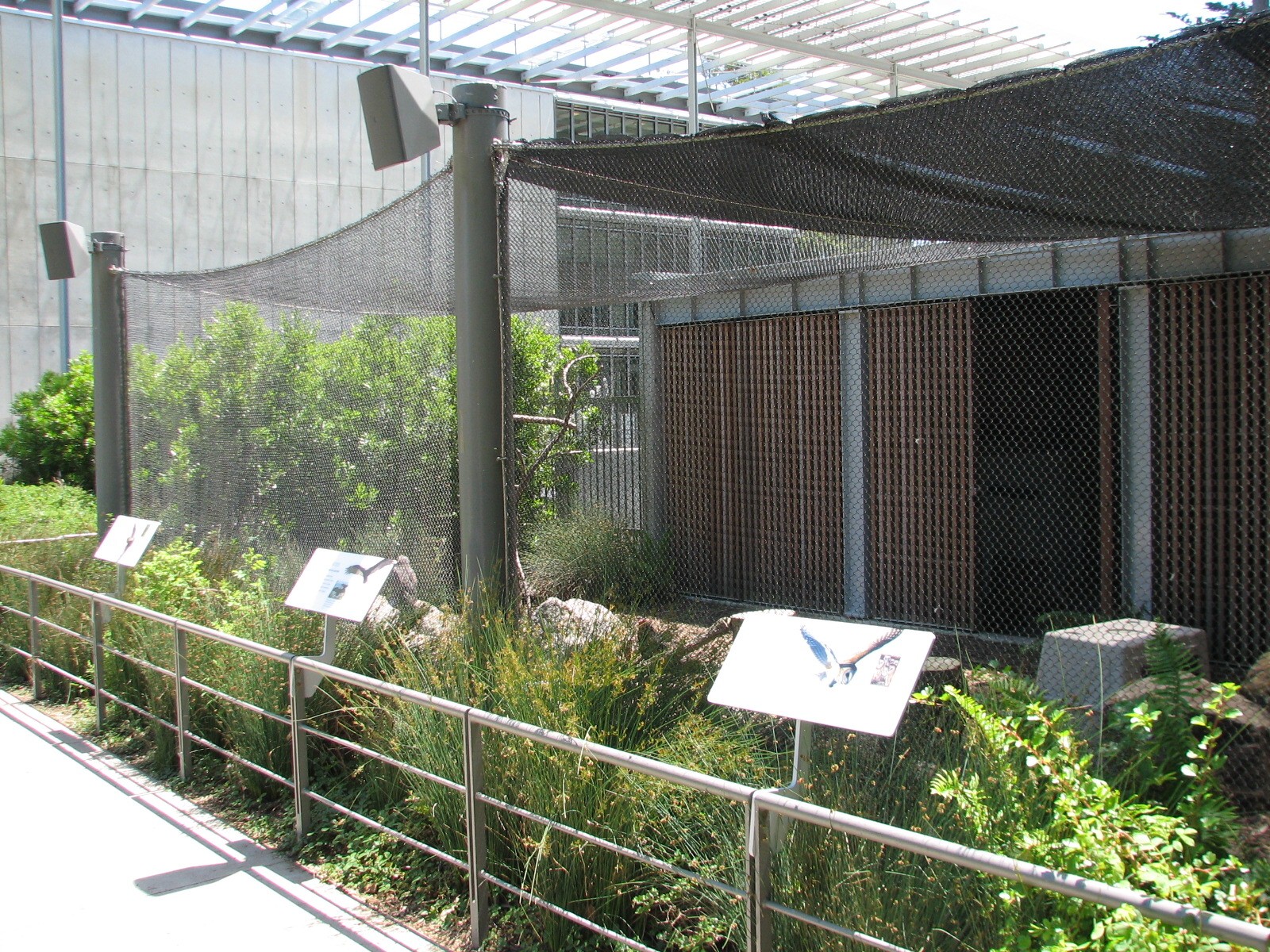 West Garden - Turkey Vulture, Swainsons Hawk, and Barn Owl Exhibit
