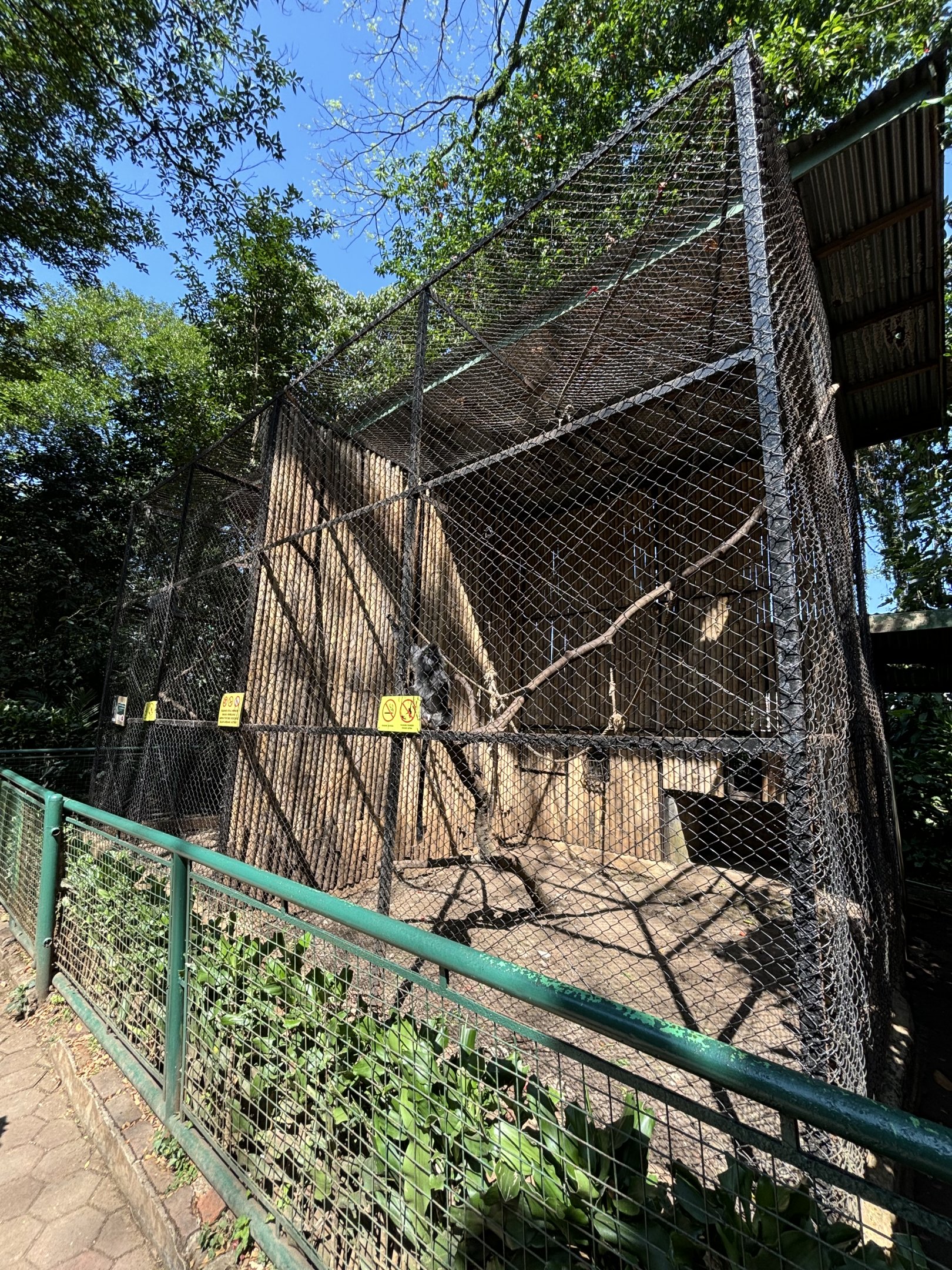 West Javan Langur + Javan Surili Exhibits