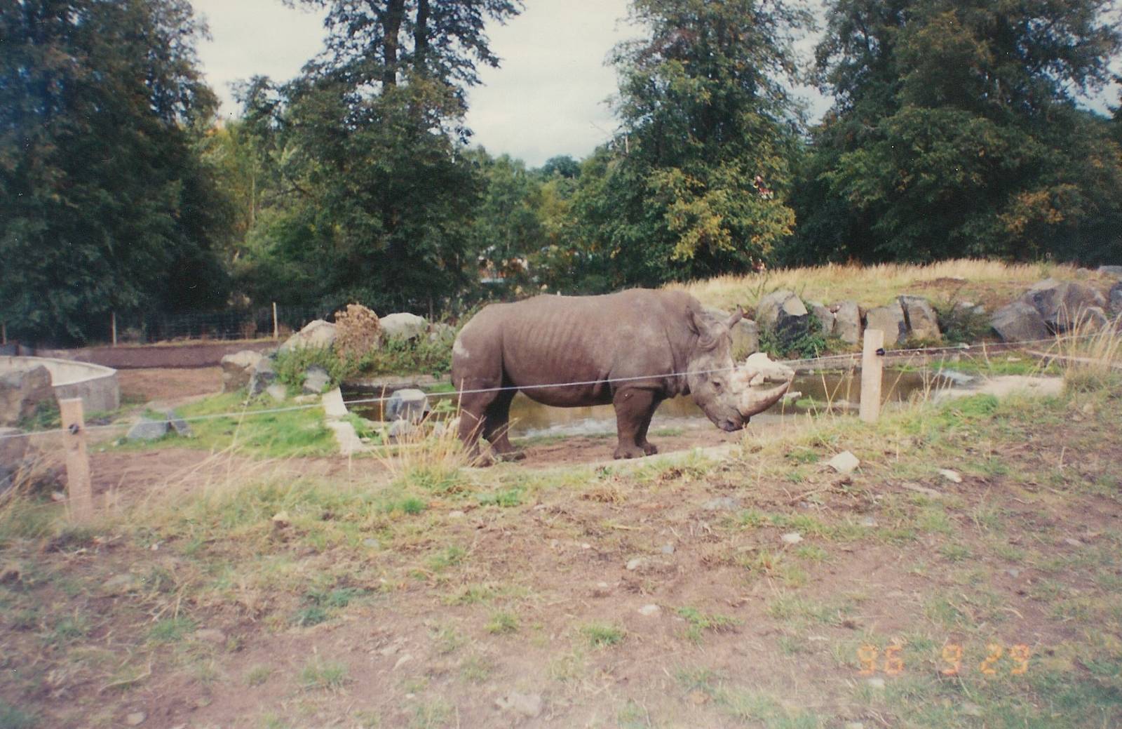 West Midland Safari and Leisure Park, 1996