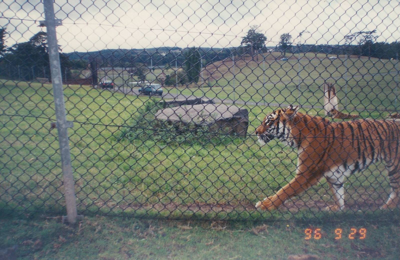 West Midland Safari Park 1996
