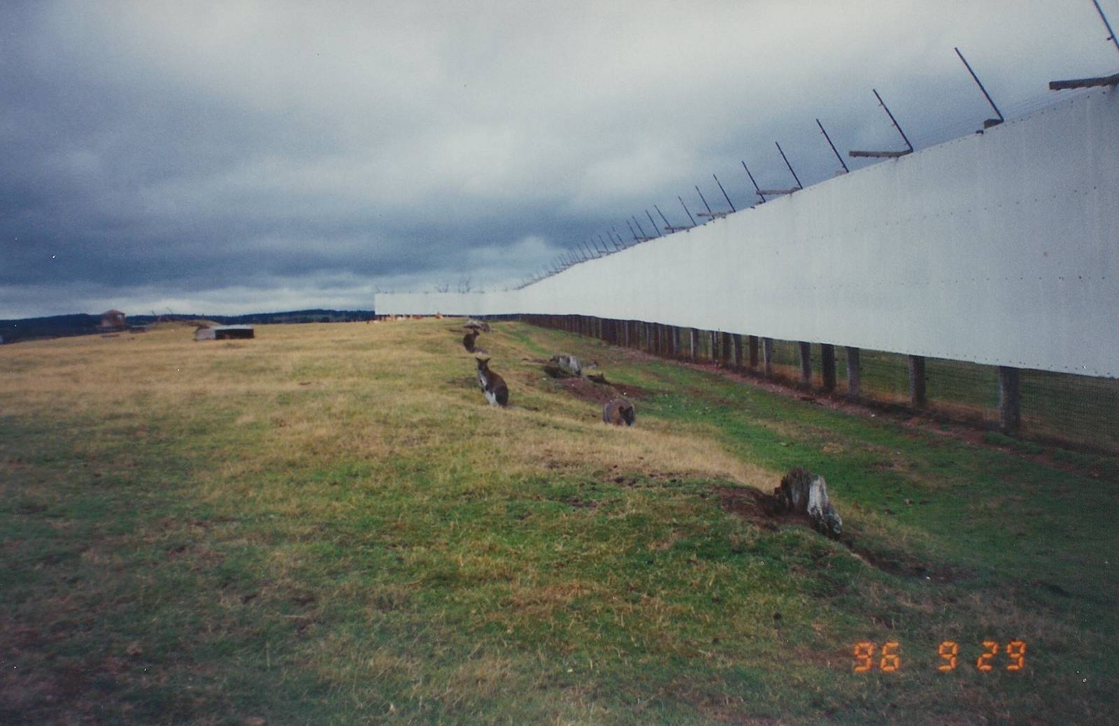 West Midland Safari Park