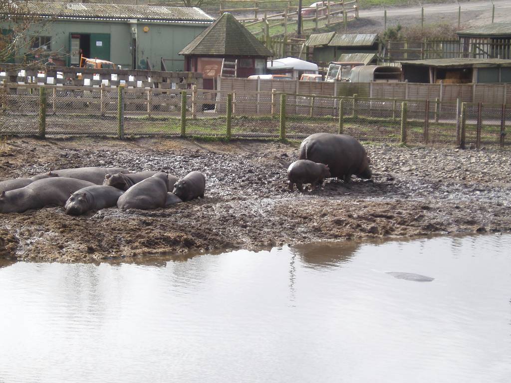 West Midland Safari Park